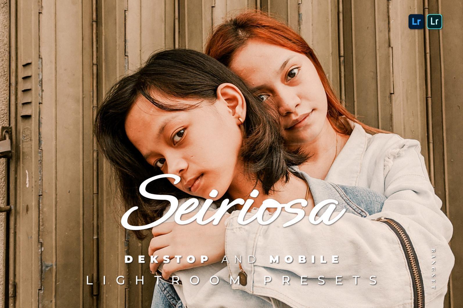 10 Seiriosa Desktop and Mobile Lightroom Preset - Thumb Envato Element HITAM 434 -